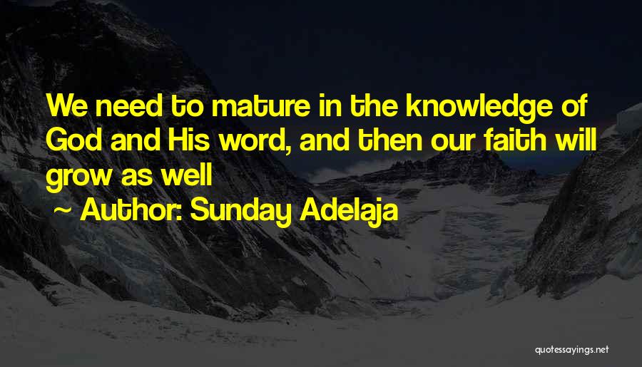 Sunday Adelaja Quotes: We Need To Mature In The Knowledge Of God And His Word, And Then Our Faith Will Grow As Well