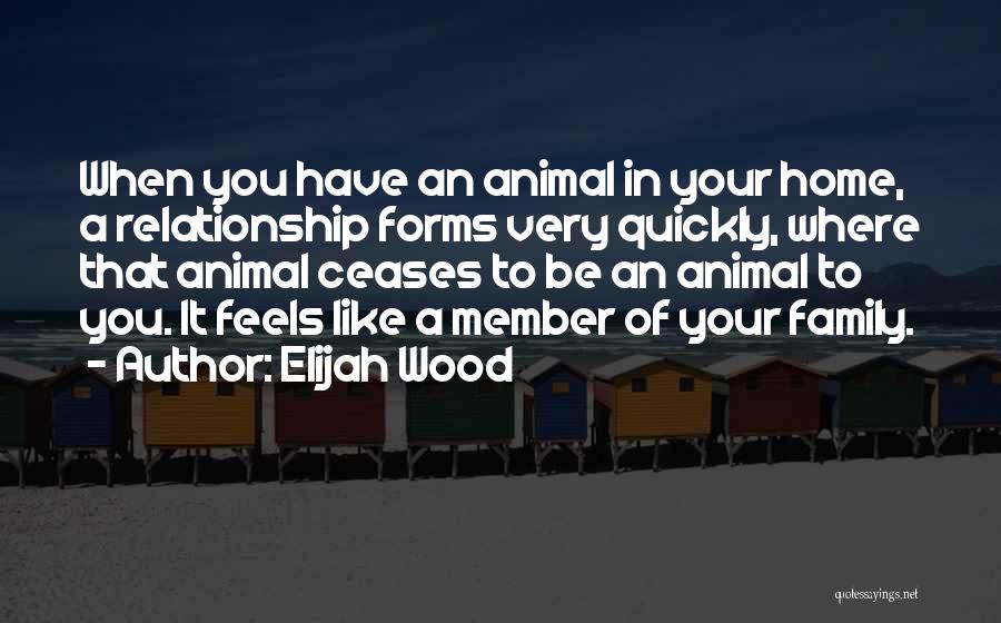 Elijah Wood Quotes: When You Have An Animal In Your Home, A Relationship Forms Very Quickly, Where That Animal Ceases To Be An