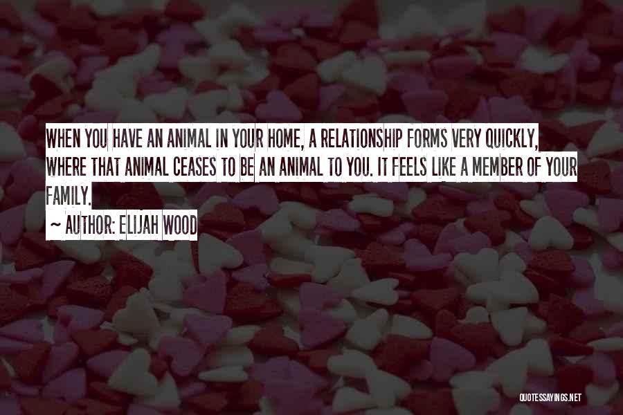 Elijah Wood Quotes: When You Have An Animal In Your Home, A Relationship Forms Very Quickly, Where That Animal Ceases To Be An