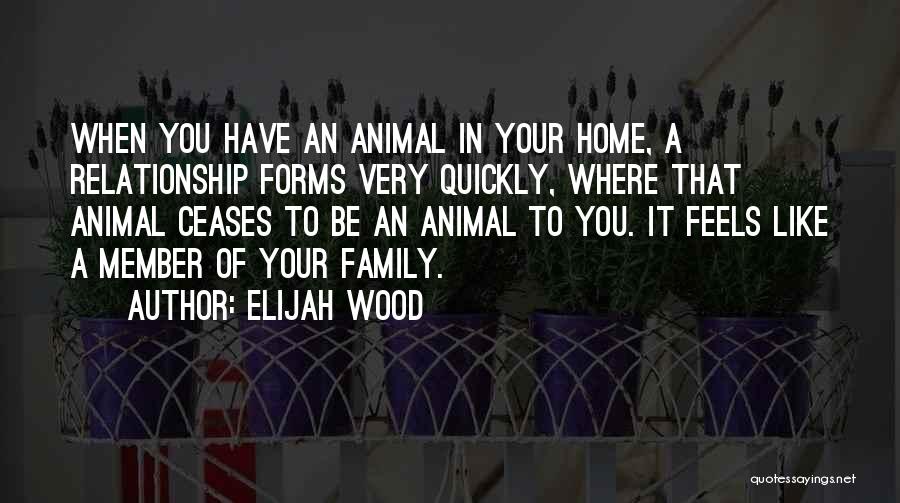 Elijah Wood Quotes: When You Have An Animal In Your Home, A Relationship Forms Very Quickly, Where That Animal Ceases To Be An