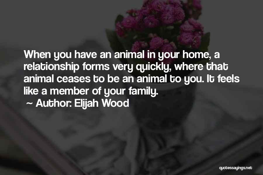 Elijah Wood Quotes: When You Have An Animal In Your Home, A Relationship Forms Very Quickly, Where That Animal Ceases To Be An