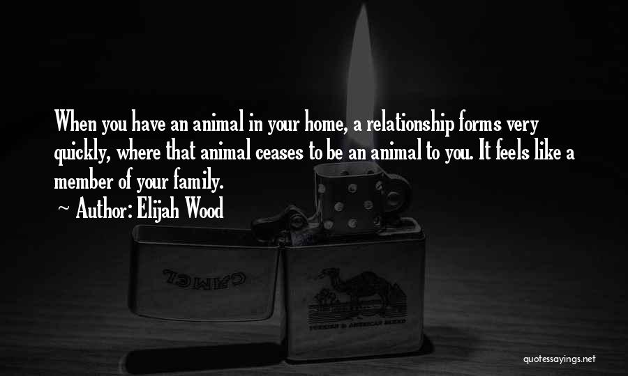 Elijah Wood Quotes: When You Have An Animal In Your Home, A Relationship Forms Very Quickly, Where That Animal Ceases To Be An