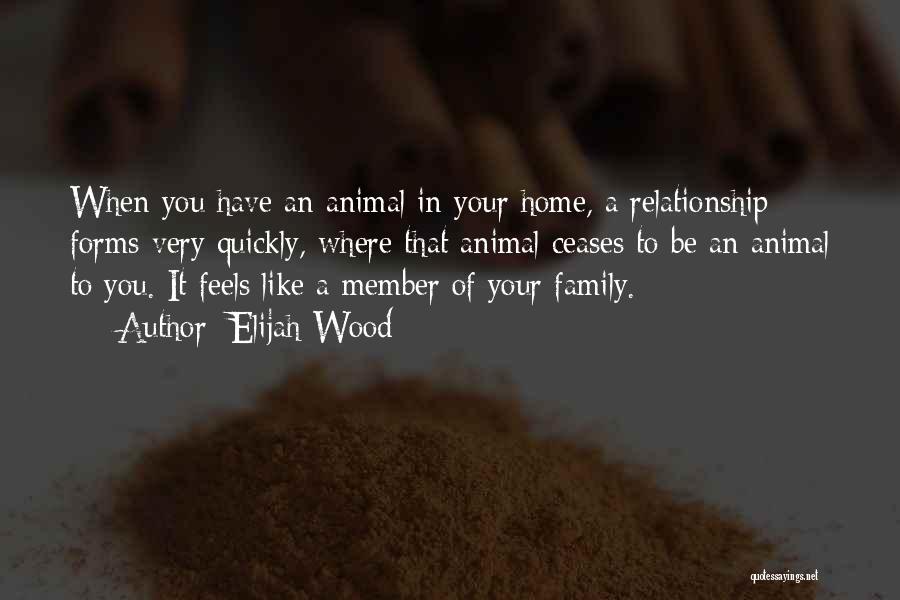 Elijah Wood Quotes: When You Have An Animal In Your Home, A Relationship Forms Very Quickly, Where That Animal Ceases To Be An