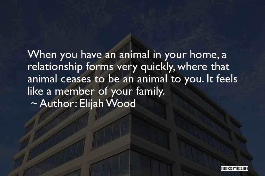 Elijah Wood Quotes: When You Have An Animal In Your Home, A Relationship Forms Very Quickly, Where That Animal Ceases To Be An