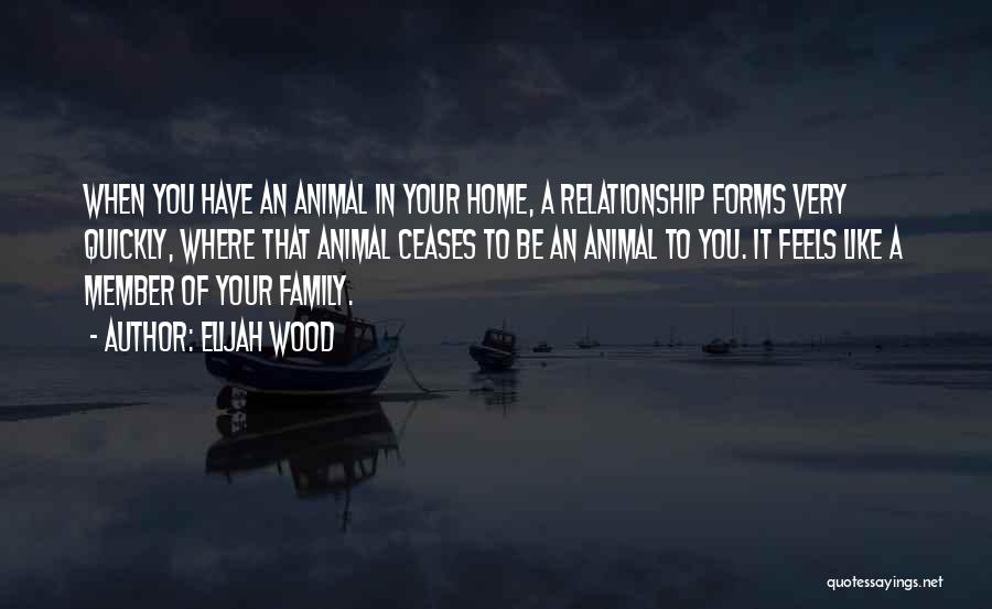 Elijah Wood Quotes: When You Have An Animal In Your Home, A Relationship Forms Very Quickly, Where That Animal Ceases To Be An