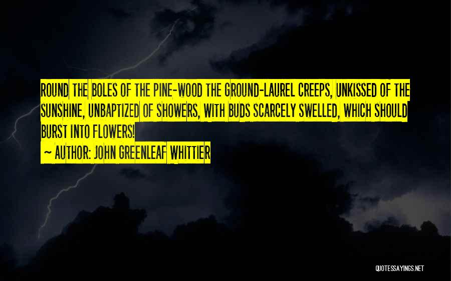 John Greenleaf Whittier Quotes: Round The Boles Of The Pine-wood The Ground-laurel Creeps, Unkissed Of The Sunshine, Unbaptized Of Showers, With Buds Scarcely Swelled,