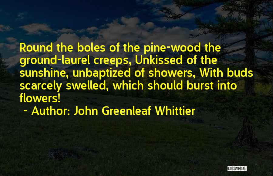 John Greenleaf Whittier Quotes: Round The Boles Of The Pine-wood The Ground-laurel Creeps, Unkissed Of The Sunshine, Unbaptized Of Showers, With Buds Scarcely Swelled,