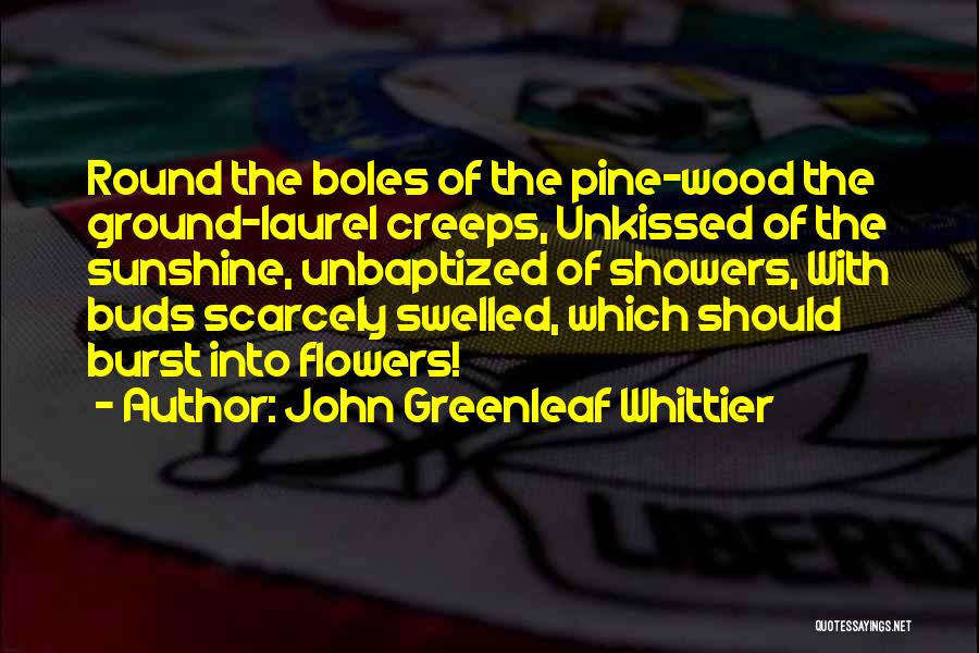 John Greenleaf Whittier Quotes: Round The Boles Of The Pine-wood The Ground-laurel Creeps, Unkissed Of The Sunshine, Unbaptized Of Showers, With Buds Scarcely Swelled,