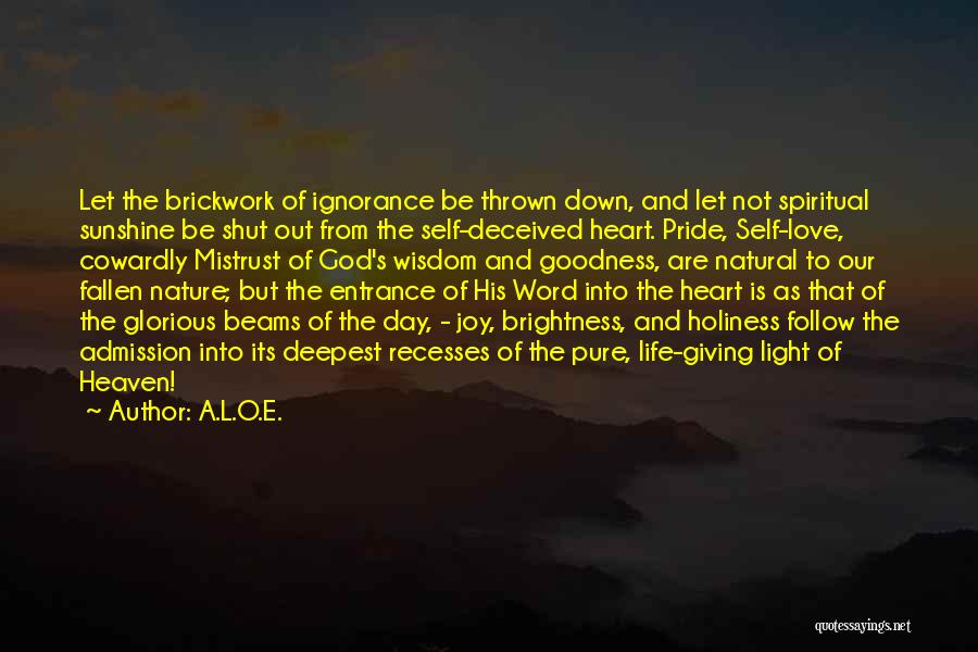 A.L.O.E. Quotes: Let The Brickwork Of Ignorance Be Thrown Down, And Let Not Spiritual Sunshine Be Shut Out From The Self-deceived Heart.