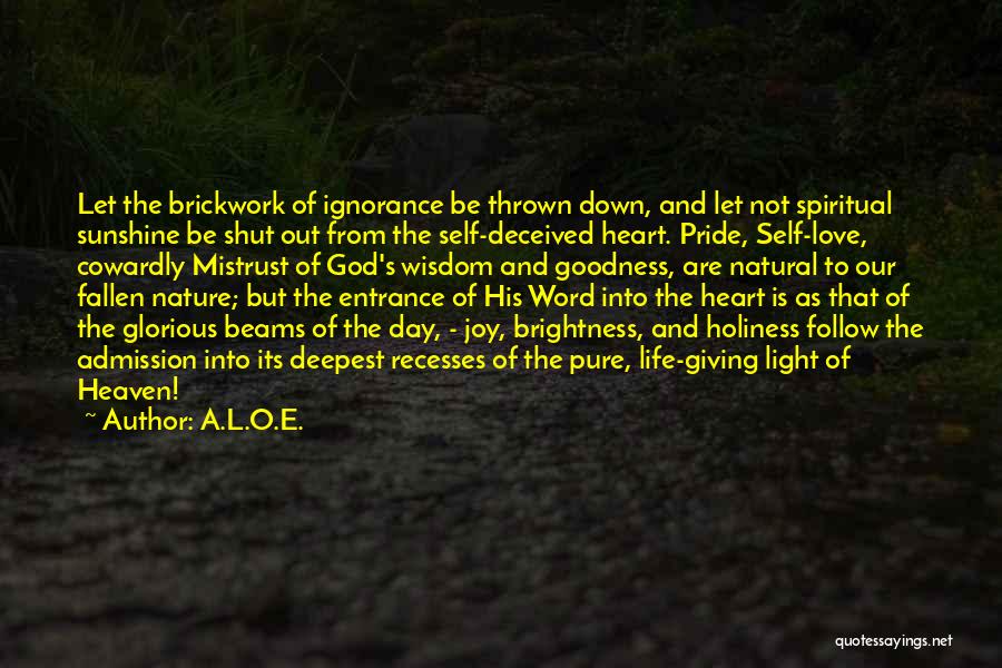 A.L.O.E. Quotes: Let The Brickwork Of Ignorance Be Thrown Down, And Let Not Spiritual Sunshine Be Shut Out From The Self-deceived Heart.