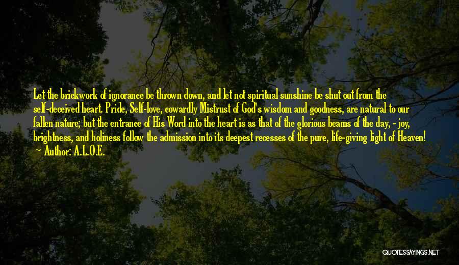 A.L.O.E. Quotes: Let The Brickwork Of Ignorance Be Thrown Down, And Let Not Spiritual Sunshine Be Shut Out From The Self-deceived Heart.