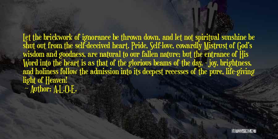 A.L.O.E. Quotes: Let The Brickwork Of Ignorance Be Thrown Down, And Let Not Spiritual Sunshine Be Shut Out From The Self-deceived Heart.