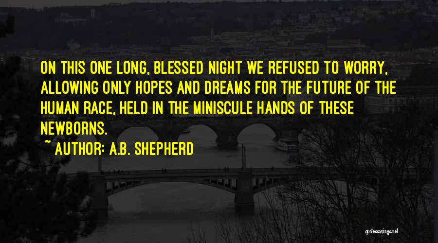 A.B. Shepherd Quotes: On This One Long, Blessed Night We Refused To Worry, Allowing Only Hopes And Dreams For The Future Of The