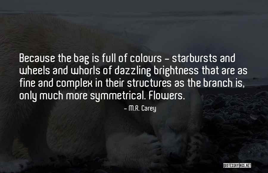 1115 Truxtun Quotes By M.R. Carey 1115 Truxtun Quotes By M.R. Carey