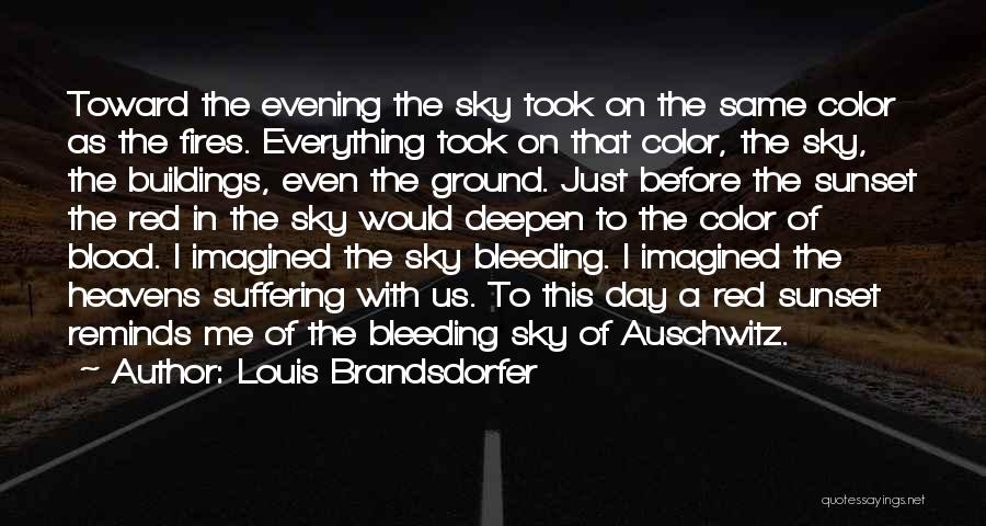 Louis Brandsdorfer Quotes: Toward The Evening The Sky Took On The Same Color As The Fires. Everything Took On That Color, The Sky,