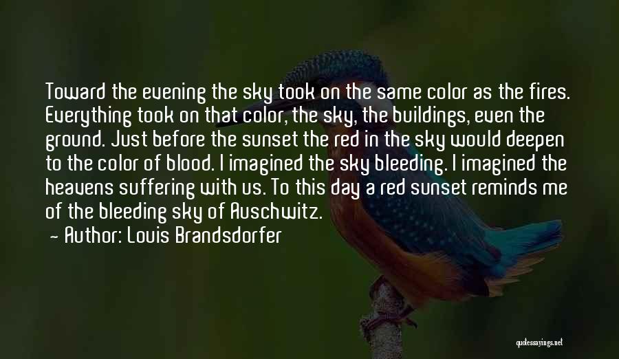 Louis Brandsdorfer Quotes: Toward The Evening The Sky Took On The Same Color As The Fires. Everything Took On That Color, The Sky,