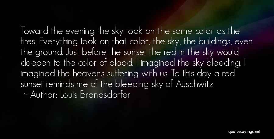 Louis Brandsdorfer Quotes: Toward The Evening The Sky Took On The Same Color As The Fires. Everything Took On That Color, The Sky,