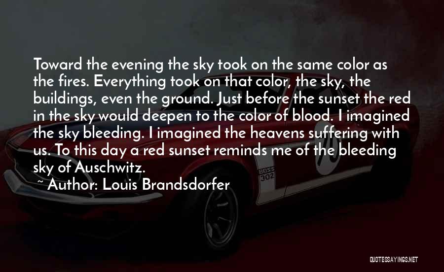 Louis Brandsdorfer Quotes: Toward The Evening The Sky Took On The Same Color As The Fires. Everything Took On That Color, The Sky,