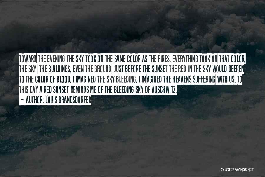 Louis Brandsdorfer Quotes: Toward The Evening The Sky Took On The Same Color As The Fires. Everything Took On That Color, The Sky,