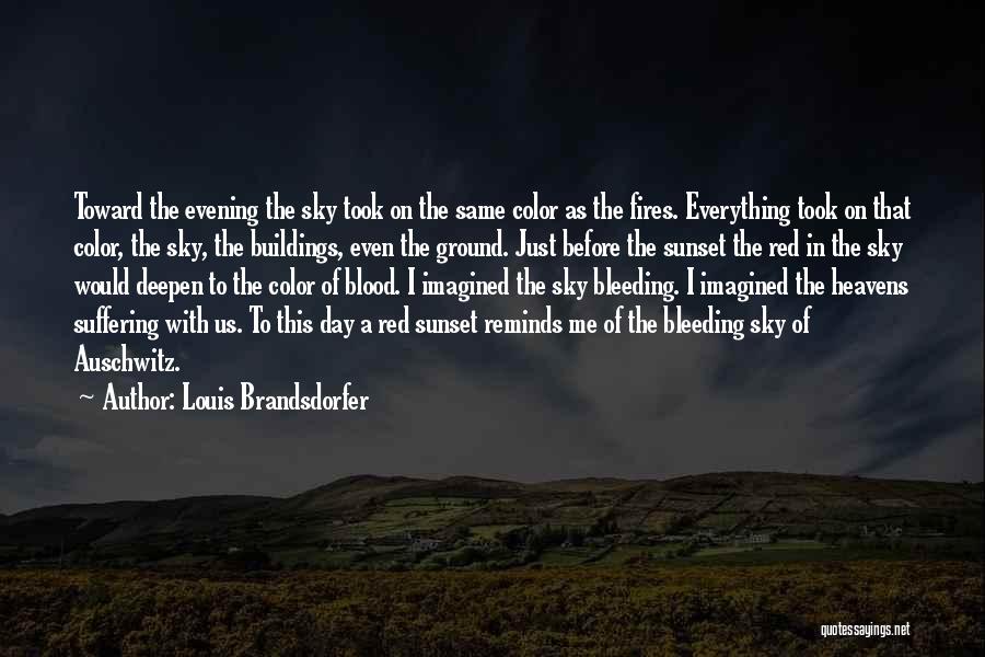 Louis Brandsdorfer Quotes: Toward The Evening The Sky Took On The Same Color As The Fires. Everything Took On That Color, The Sky,