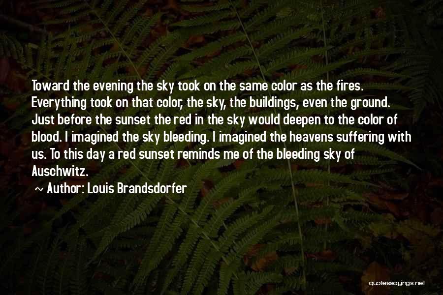 Louis Brandsdorfer Quotes: Toward The Evening The Sky Took On The Same Color As The Fires. Everything Took On That Color, The Sky,