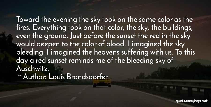 Louis Brandsdorfer Quotes: Toward The Evening The Sky Took On The Same Color As The Fires. Everything Took On That Color, The Sky,
