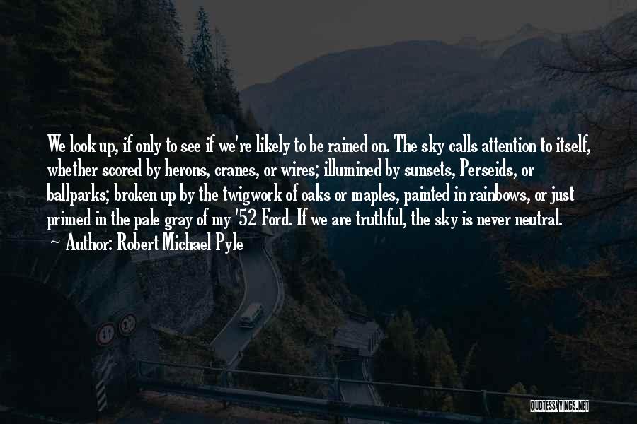 Robert Michael Pyle Quotes: We Look Up, If Only To See If We're Likely To Be Rained On. The Sky Calls Attention To Itself,