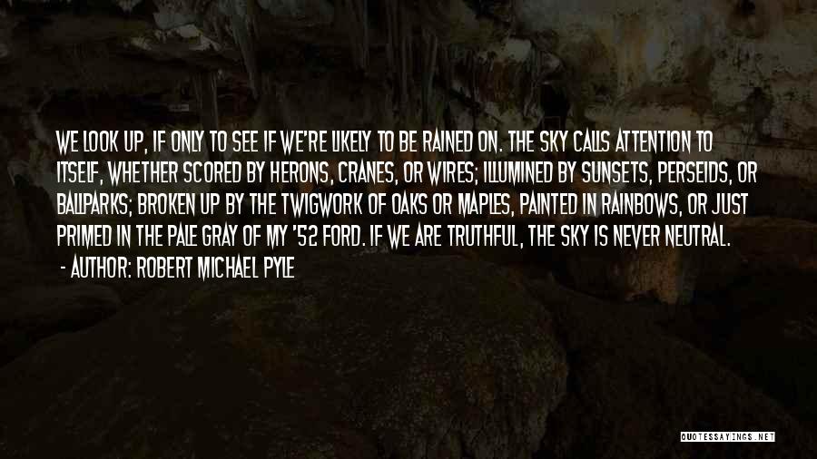 Robert Michael Pyle Quotes: We Look Up, If Only To See If We're Likely To Be Rained On. The Sky Calls Attention To Itself,