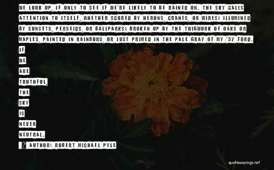 Robert Michael Pyle Quotes: We Look Up, If Only To See If We're Likely To Be Rained On. The Sky Calls Attention To Itself,