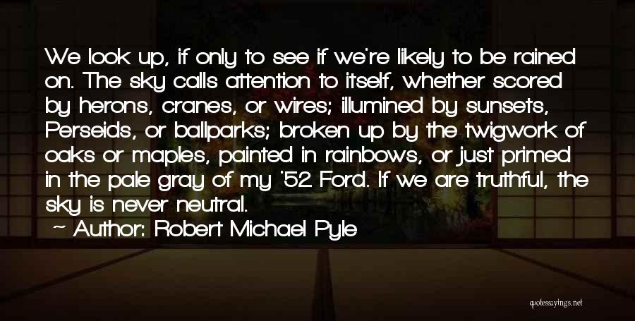 Robert Michael Pyle Quotes: We Look Up, If Only To See If We're Likely To Be Rained On. The Sky Calls Attention To Itself,