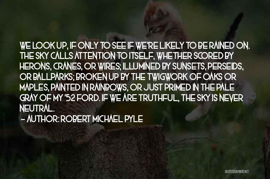 Robert Michael Pyle Quotes: We Look Up, If Only To See If We're Likely To Be Rained On. The Sky Calls Attention To Itself,