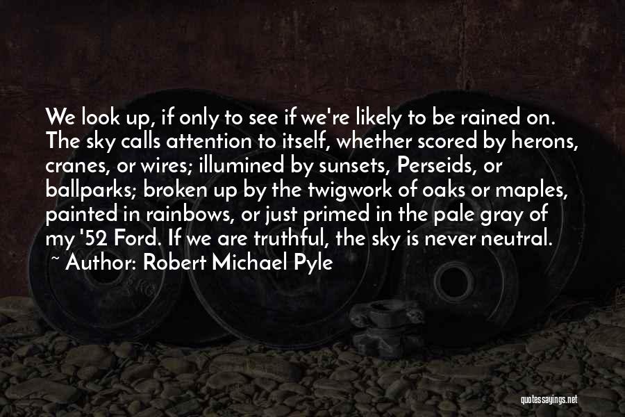 Robert Michael Pyle Quotes: We Look Up, If Only To See If We're Likely To Be Rained On. The Sky Calls Attention To Itself,