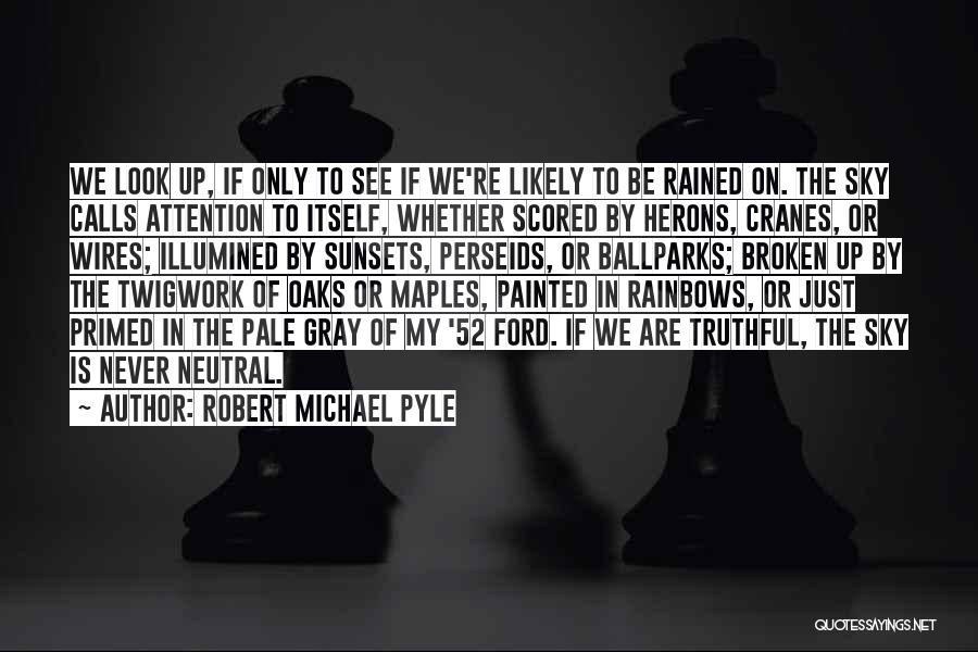 Robert Michael Pyle Quotes: We Look Up, If Only To See If We're Likely To Be Rained On. The Sky Calls Attention To Itself,