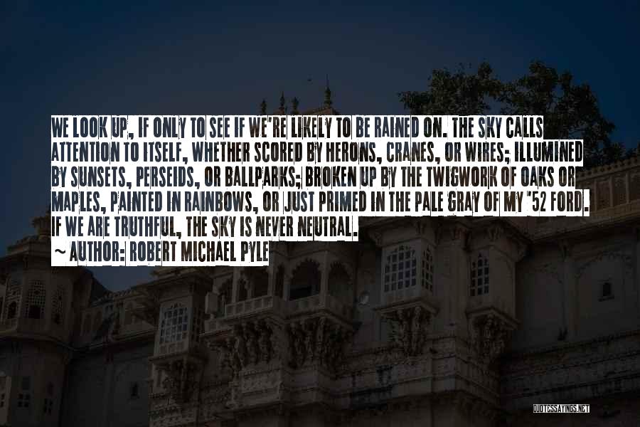 Robert Michael Pyle Quotes: We Look Up, If Only To See If We're Likely To Be Rained On. The Sky Calls Attention To Itself,