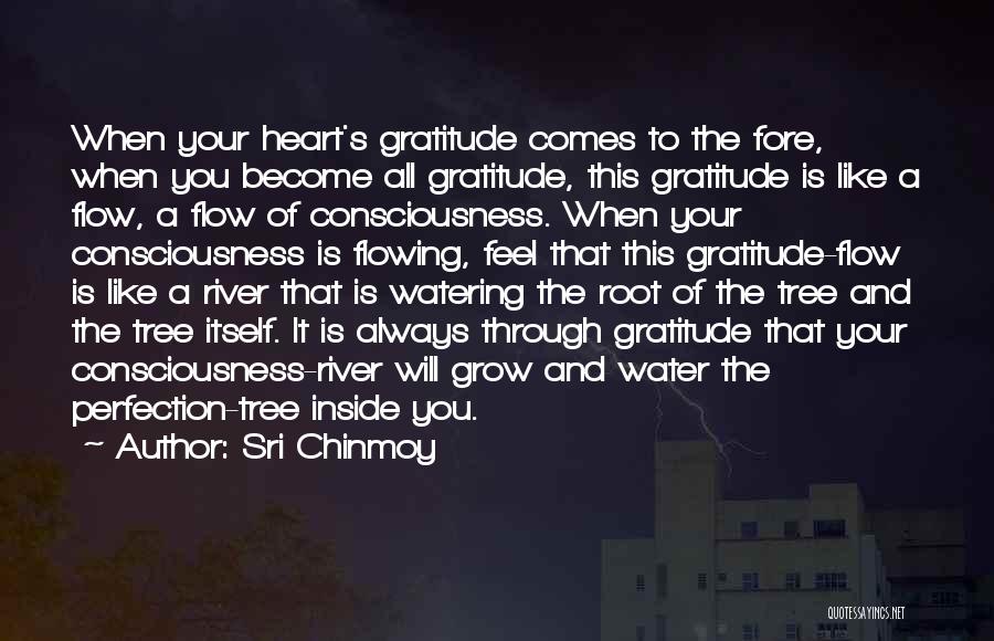 Sri Chinmoy Quotes: When Your Heart's Gratitude Comes To The Fore, When You Become All Gratitude, This Gratitude Is Like A Flow, A