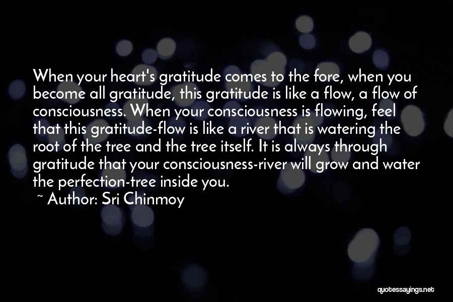 Sri Chinmoy Quotes: When Your Heart's Gratitude Comes To The Fore, When You Become All Gratitude, This Gratitude Is Like A Flow, A