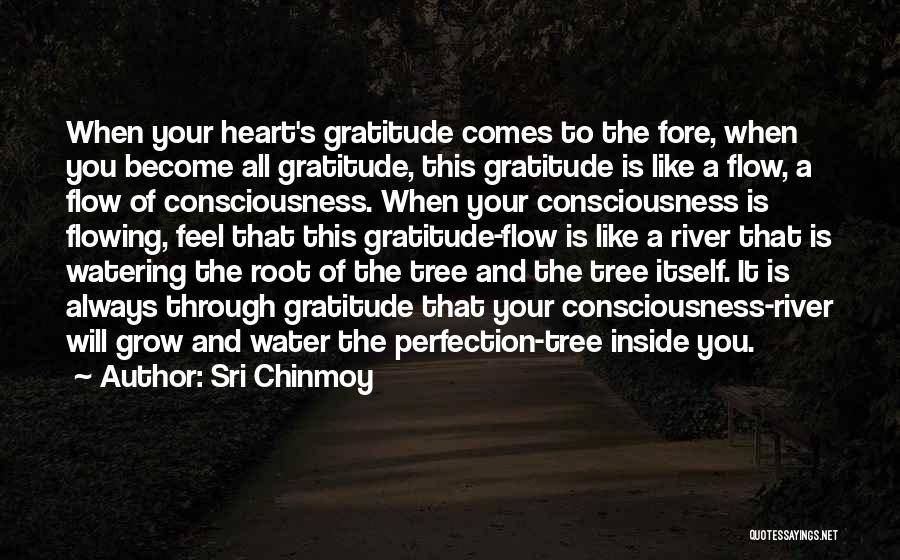 Sri Chinmoy Quotes: When Your Heart's Gratitude Comes To The Fore, When You Become All Gratitude, This Gratitude Is Like A Flow, A