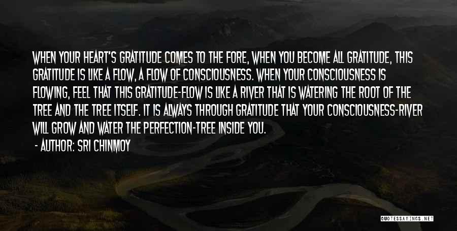 Sri Chinmoy Quotes: When Your Heart's Gratitude Comes To The Fore, When You Become All Gratitude, This Gratitude Is Like A Flow, A