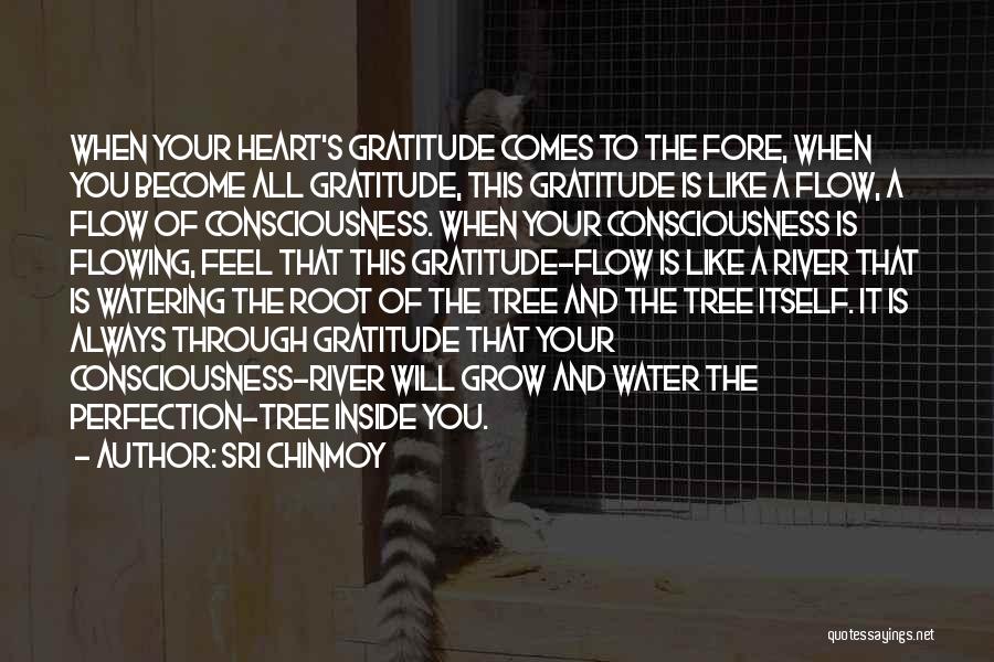 Sri Chinmoy Quotes: When Your Heart's Gratitude Comes To The Fore, When You Become All Gratitude, This Gratitude Is Like A Flow, A