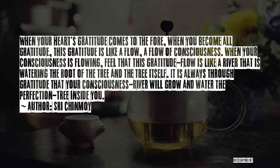 Sri Chinmoy Quotes: When Your Heart's Gratitude Comes To The Fore, When You Become All Gratitude, This Gratitude Is Like A Flow, A