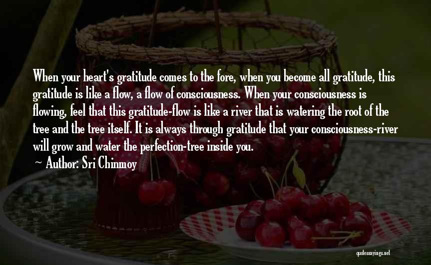Sri Chinmoy Quotes: When Your Heart's Gratitude Comes To The Fore, When You Become All Gratitude, This Gratitude Is Like A Flow, A