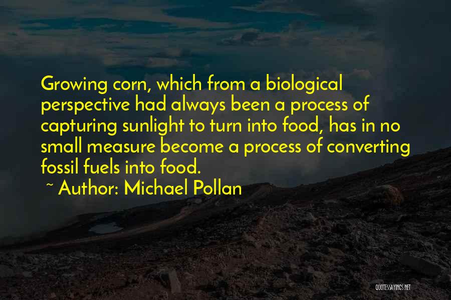 Michael Pollan Quotes: Growing Corn, Which From A Biological Perspective Had Always Been A Process Of Capturing Sunlight To Turn Into Food, Has