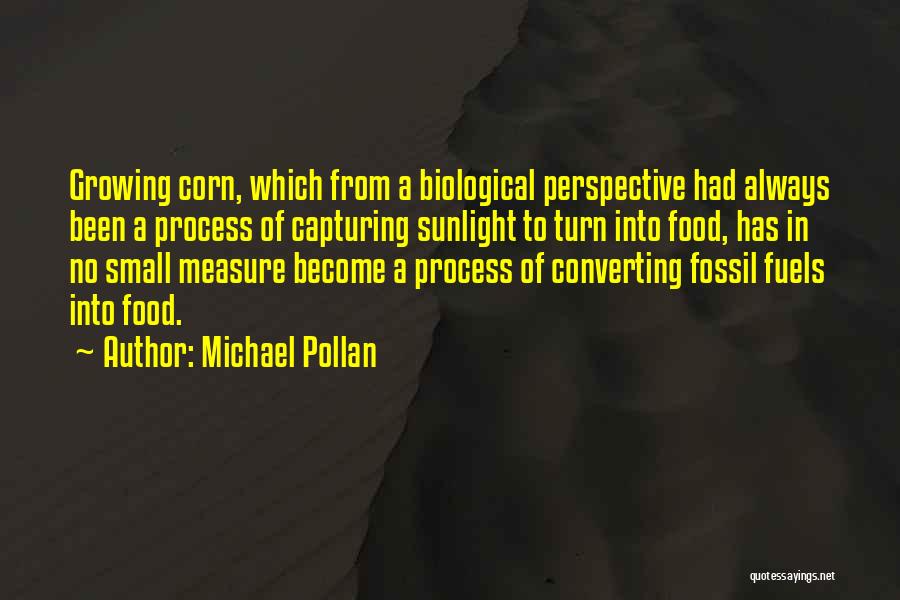 Michael Pollan Quotes: Growing Corn, Which From A Biological Perspective Had Always Been A Process Of Capturing Sunlight To Turn Into Food, Has