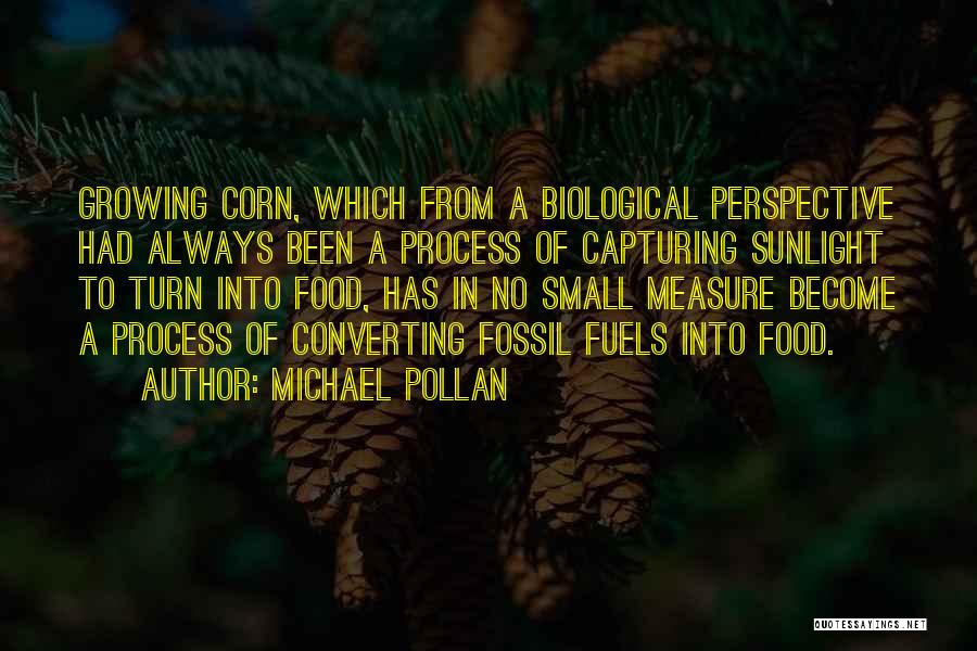 Michael Pollan Quotes: Growing Corn, Which From A Biological Perspective Had Always Been A Process Of Capturing Sunlight To Turn Into Food, Has