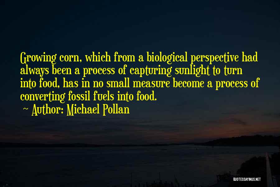 Michael Pollan Quotes: Growing Corn, Which From A Biological Perspective Had Always Been A Process Of Capturing Sunlight To Turn Into Food, Has