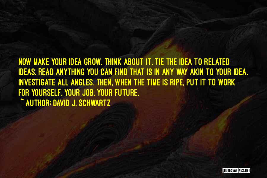 David J. Schwartz Quotes: Now Make Your Idea Grow. Think About It. Tie The Idea To Related Ideas. Read Anything You Can Find That
