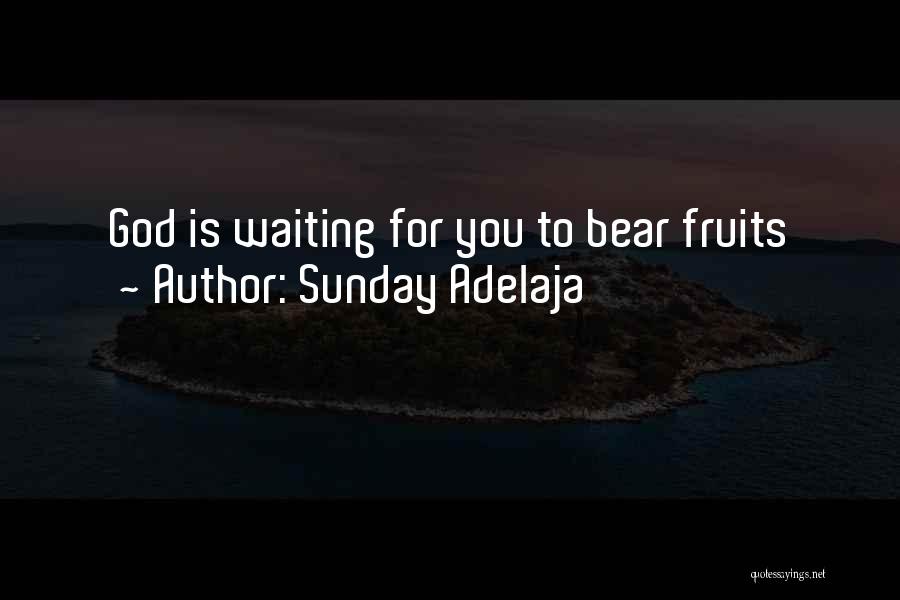 Sunday Adelaja Quotes: God Is Waiting For You To Bear Fruits