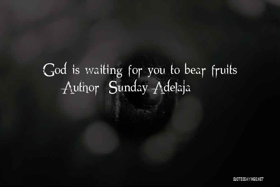 Sunday Adelaja Quotes: God Is Waiting For You To Bear Fruits