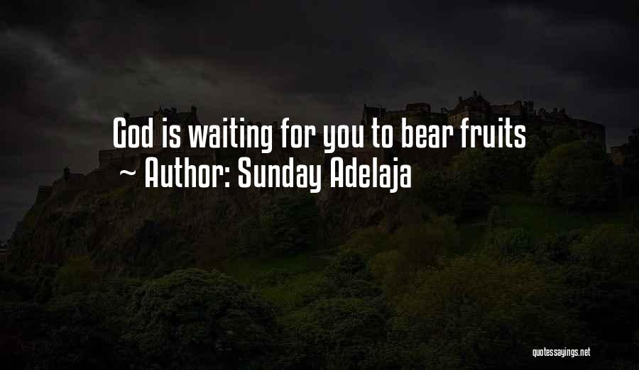 Sunday Adelaja Quotes: God Is Waiting For You To Bear Fruits