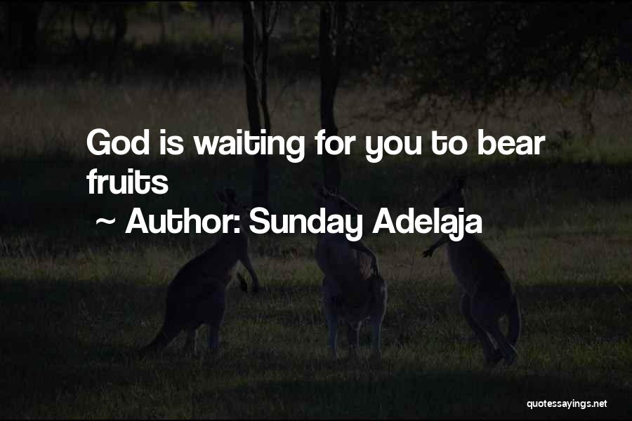 Sunday Adelaja Quotes: God Is Waiting For You To Bear Fruits